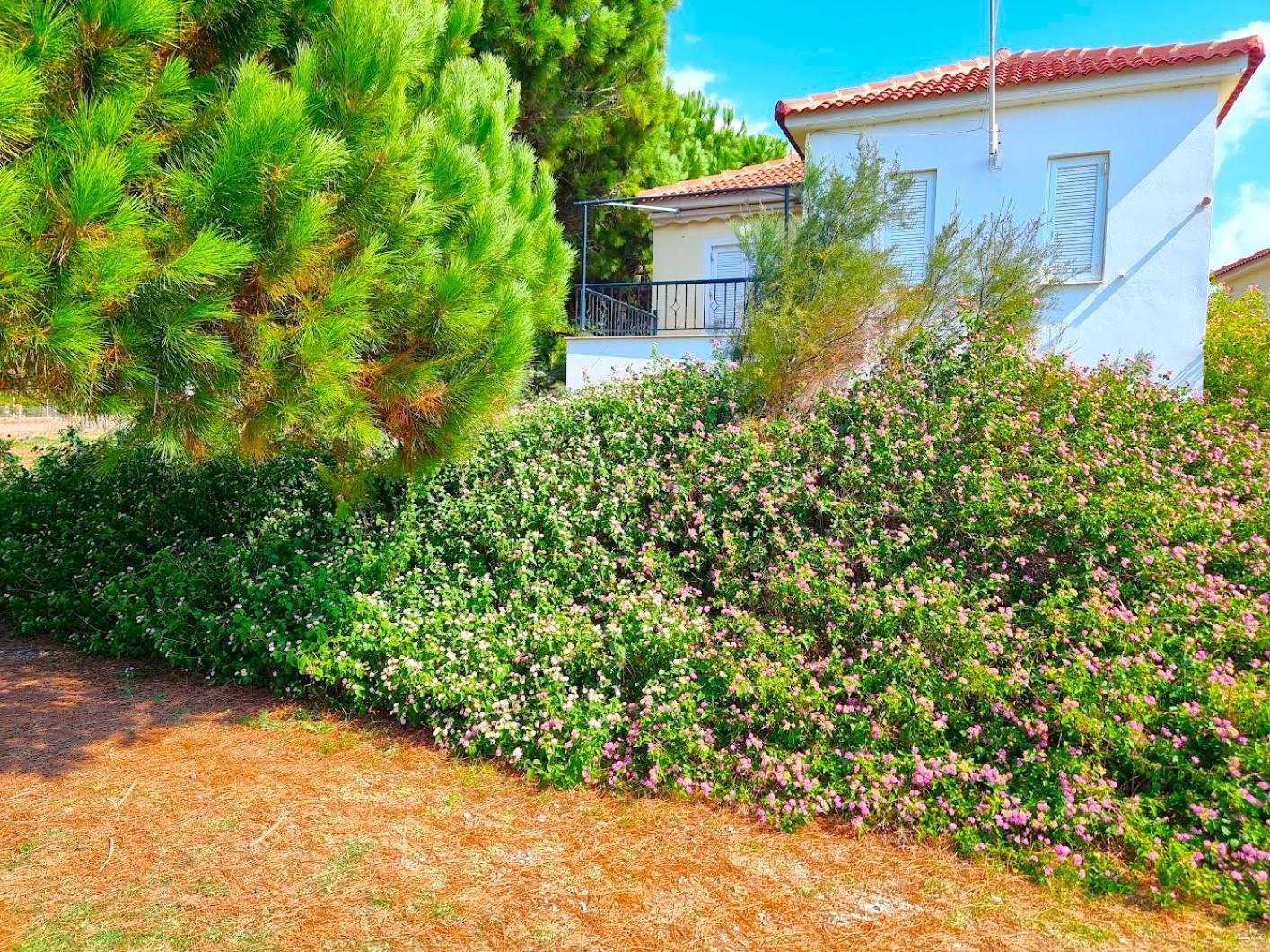 Romanos Beach Villas Kültér fotó